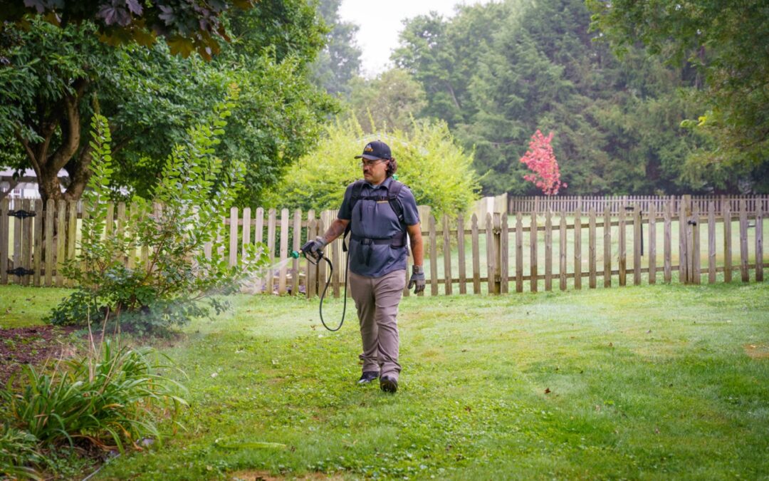 Quarterly Maintenance for Homeowners